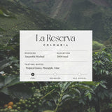 Colombia - La Reserva