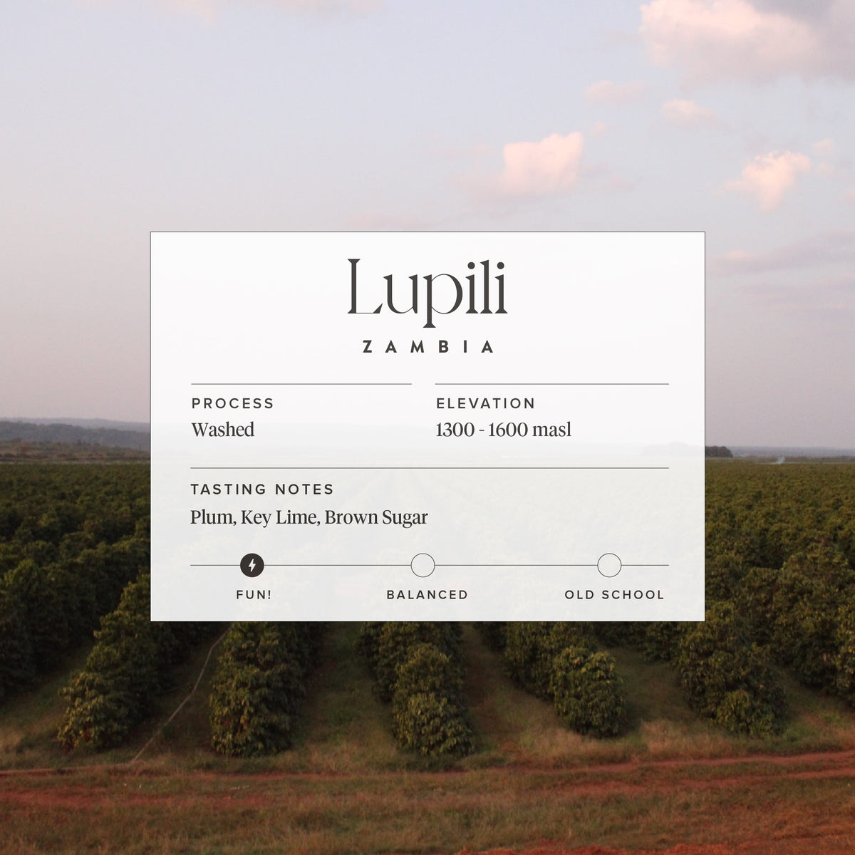 Zambia - Lupili