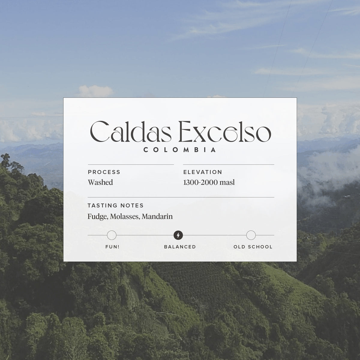 Colombia - Caldas Excelso